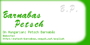 barnabas petsch business card